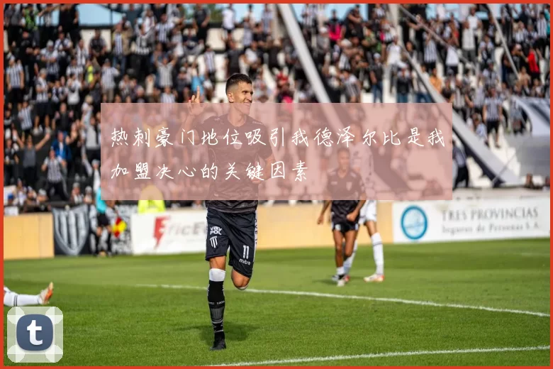 热刺豪门地位吸引我德泽尔比是我加盟决心的关键因素